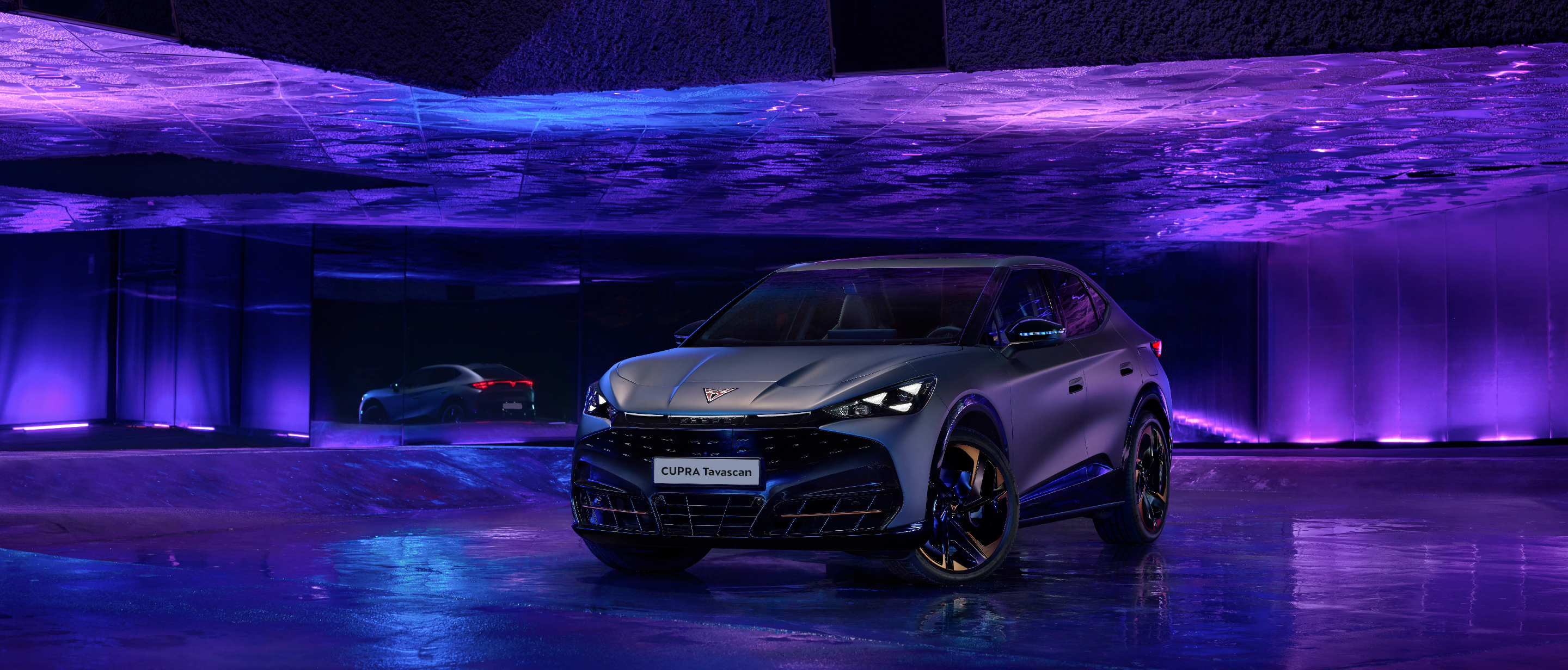 Sitoweb Banner Veicolo Desktop Tavascan