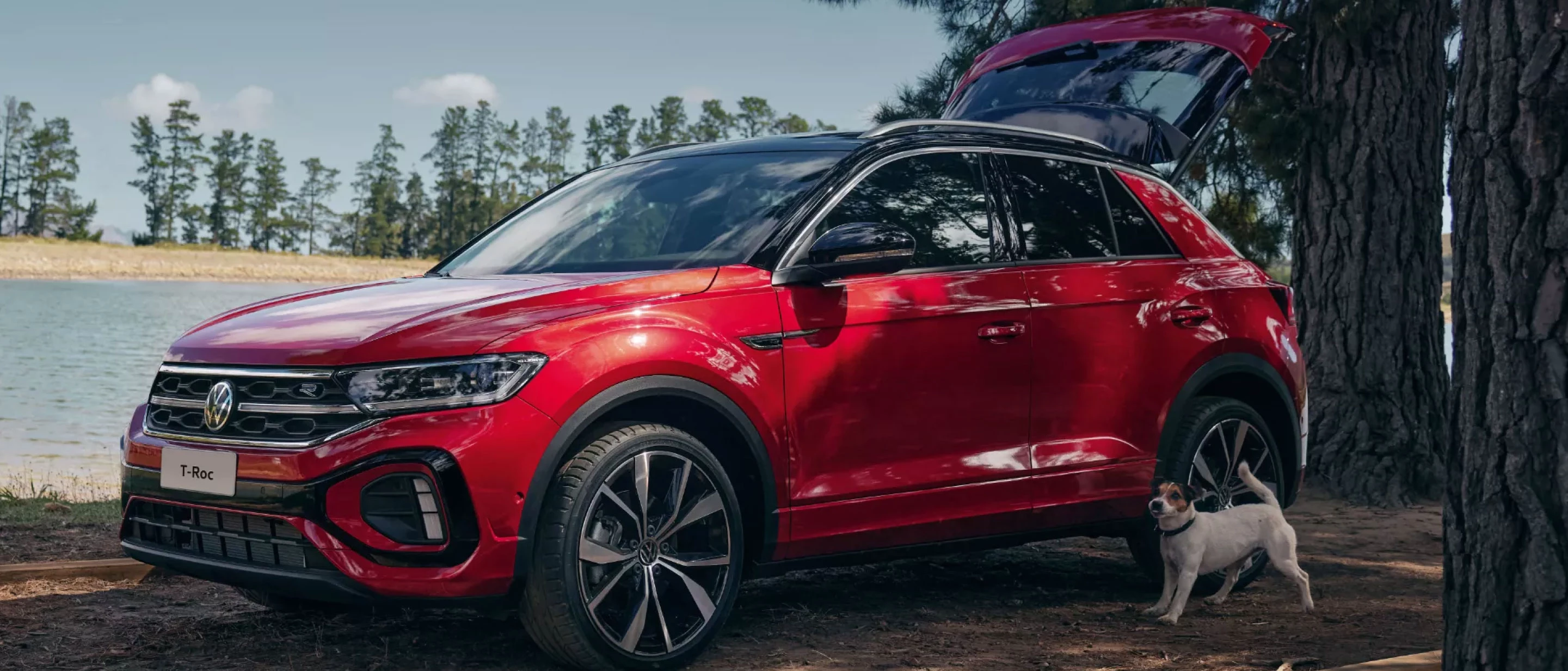 Promozione Troc Dekstop