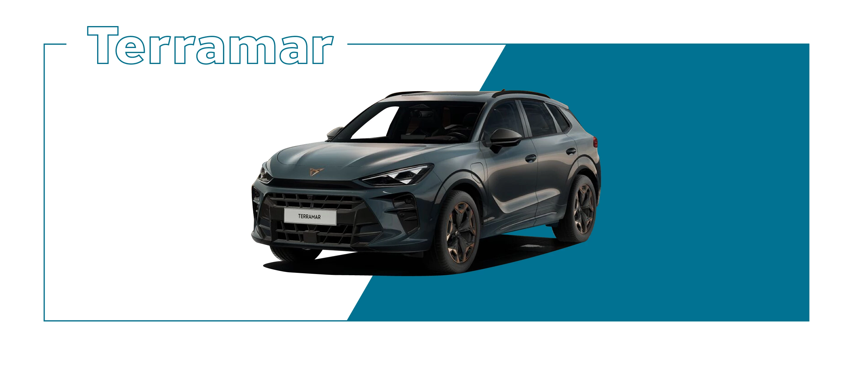 Sitoweb Promozioni Banner Terramar