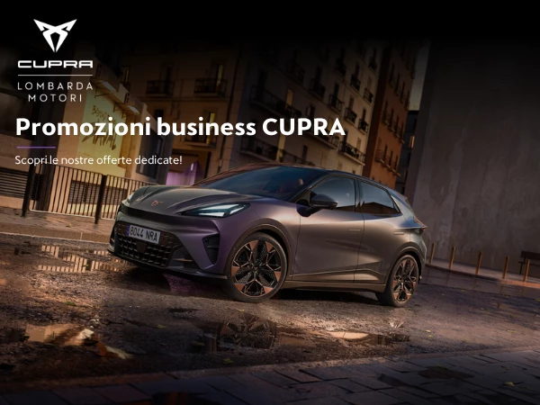 Promozioni Business Audi (1)