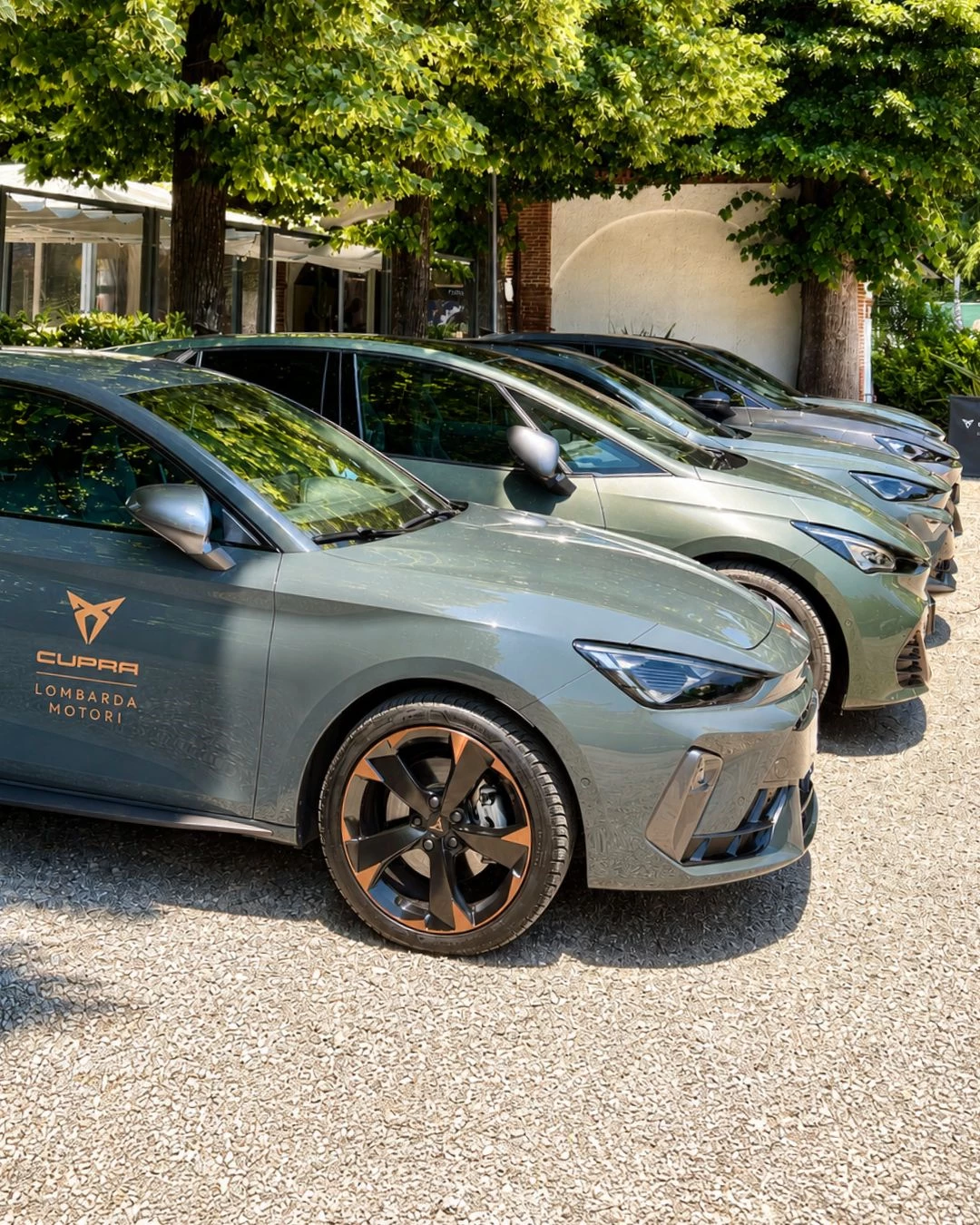 CUPRA NIGHT (11)