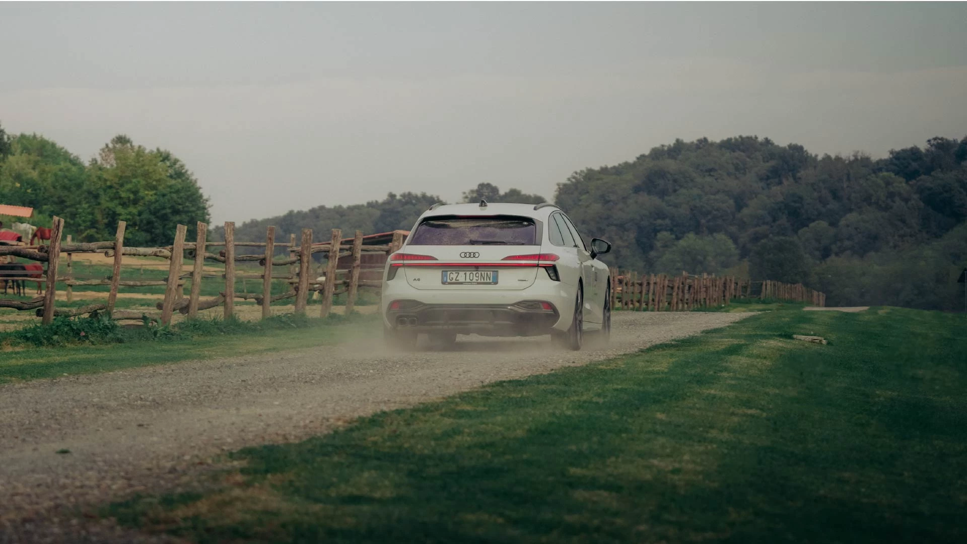 Business Driving Experience15 50