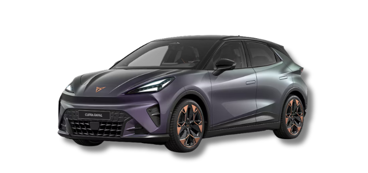 Raval 2 Traspatenza Pluc