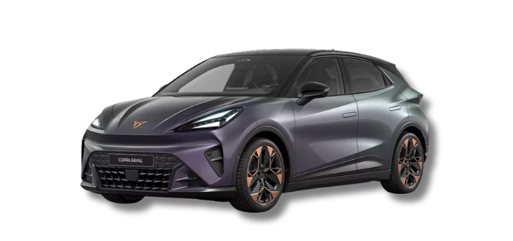 Raval 2 Traspatenza Pluc